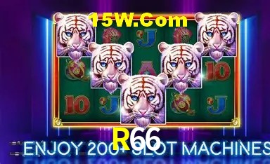 Sistemas de Segurança R66