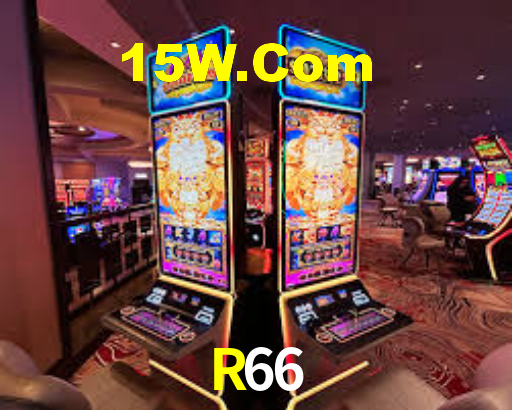R66,R66.Com