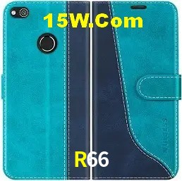 Benefícios da Conta R66
