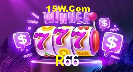 R66 - Support